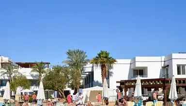Queen Sharm