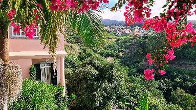 Quinta do Alto de Sao Joao