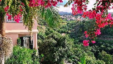 Quinta do Alto de Sao Joao