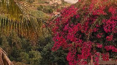 Quinta do Alto de Sao Joao