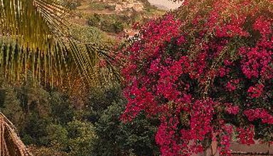 Quinta do Alto de Sao Joao