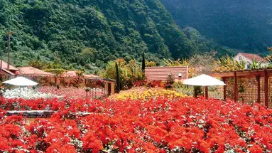 Quinta do Arco