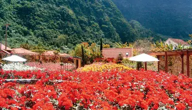 Quinta do Arco