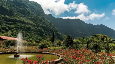 Quinta do Arco