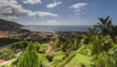 Quinta Funchal Gardens