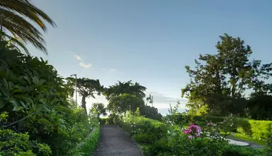 Quinta Funchal Gardens