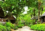 Rabbit Resort Pattaya