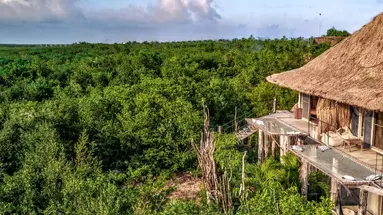 Radhoo Tulum