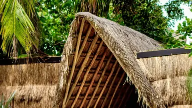 Radhoo Tulum