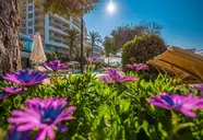 Radisson Blu Golden Sands