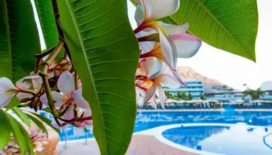 Radisson Blu Resort Mogan