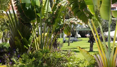 Radisson Blu Resort Mogan
