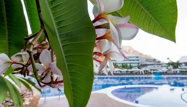 Radisson Blu Resort Mogan