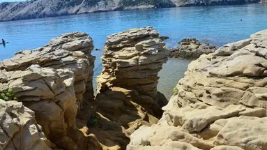 Radojka