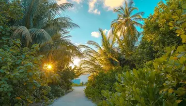 Rahaa Resort