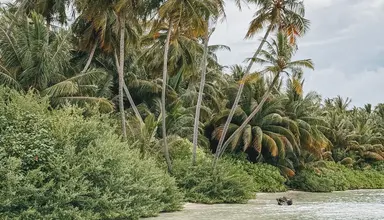 Rahaa Resort