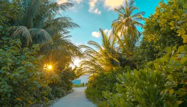 Rahaa Resort