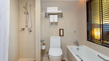 Ramada Plaza Menam Riverside
