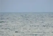 Ravindra Beach Resort & Spa