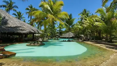 Ravintsara Wellness