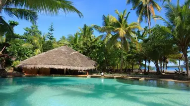 Ravintsara Wellness