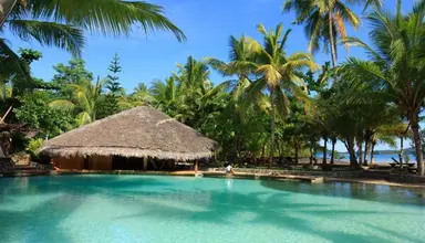 Ravintsara Wellness