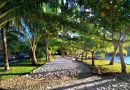 Ravintsara Wellness