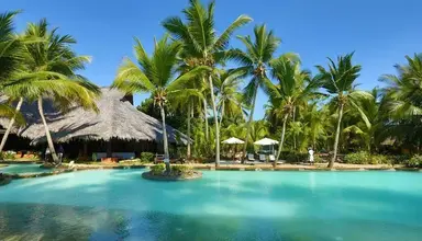 Ravintsara Wellness