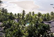 Ravintsara Wellness