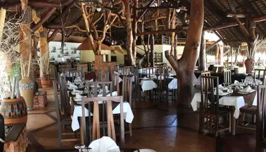Ravintsara Wellness