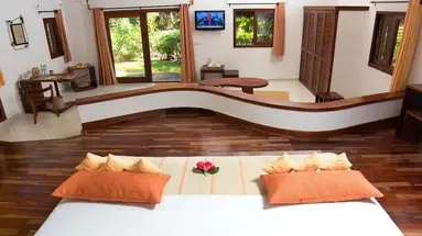 Ravintsara Wellness