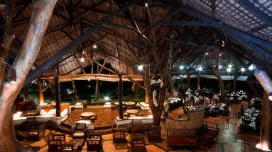 Ravintsara Wellness
