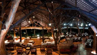 Ravintsara Wellness