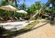 Ravintsara Wellness