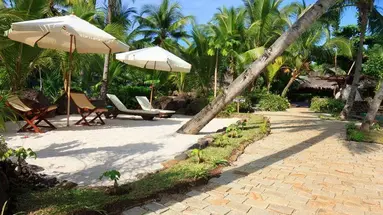 Ravintsara Wellness