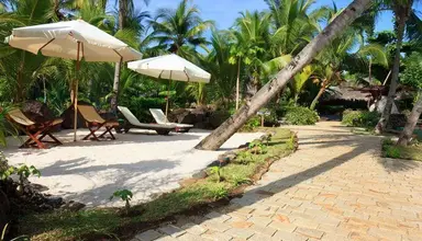 Ravintsara Wellness