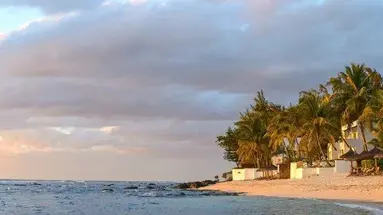 Recif Attitude (Pointe aux Piments)