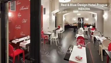 Red and Blue Design