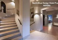 Red and Blue Design