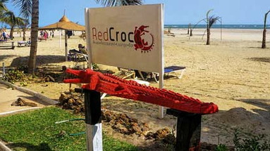 Red Croc