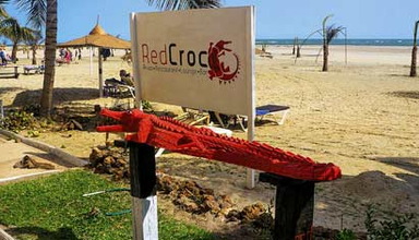 Red Croc