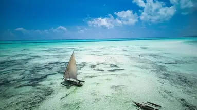 Red Monkey Beach Lodge