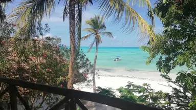 Red Monkey Beach Lodge