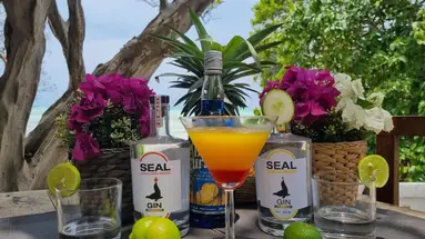 Red Monkey Beach Lodge