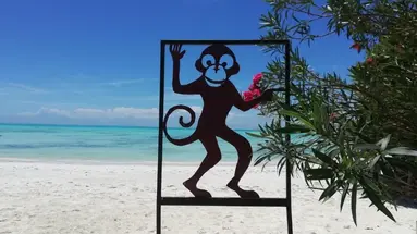 Red Monkey Beach Lodge
