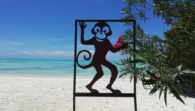 Red Monkey Beach Lodge