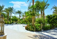 Red Sea Grand Marina