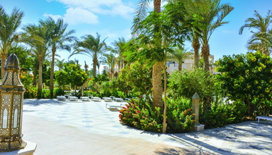 Red Sea Grand Marina