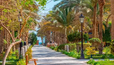 Red Sea Siva Grand Beach