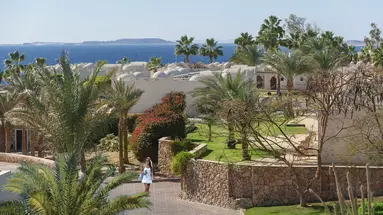 Reef Oasis Beach Resort